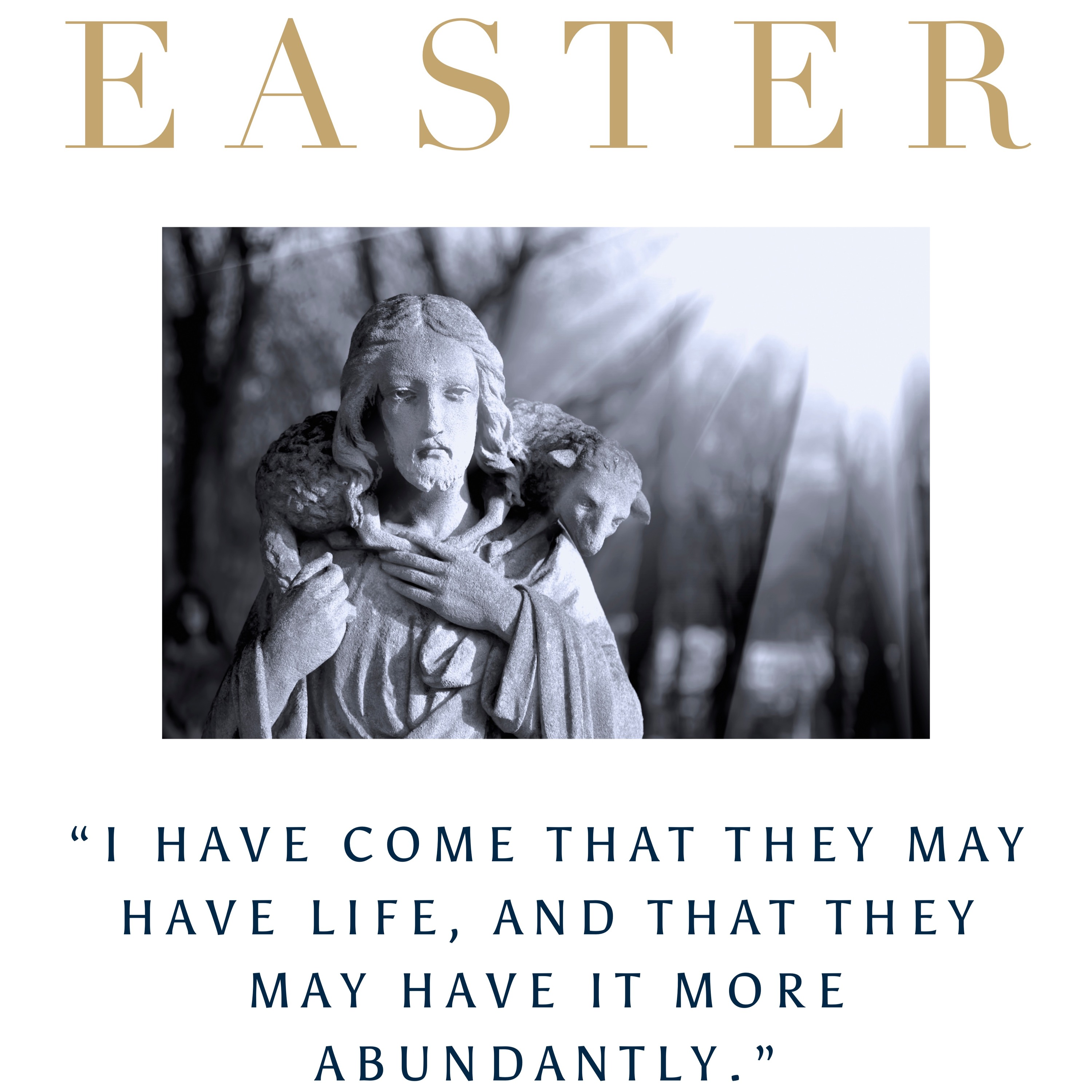 Fr Matthew Ainsley
