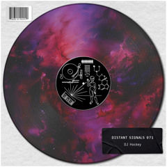 Distant Signals 071: DJ Hockey