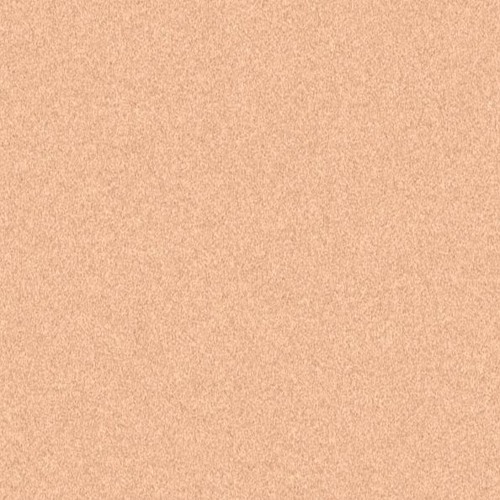 amnesia (prod. falco)