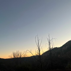 REC Live - 2024 - 01 - 07