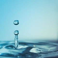 H20