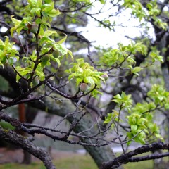 TheBroken_arr_090625