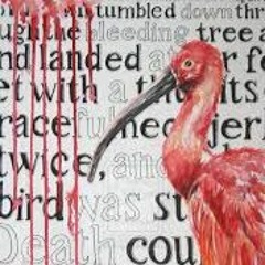 Ibis - BeTwEeN tHe TrUtH