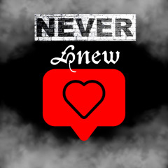 Never Knew