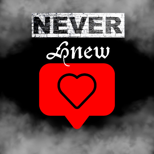 Never Knew