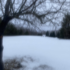 My Valuable Bull Hunting Knife (Guided by Voices Cover)