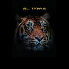 Miguel R Filio, DJ Criss Gomez - El Tigre (Original Mix)cut