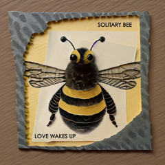 Love Wakes Up