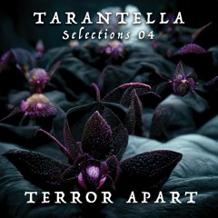 Selections 04 - Terror Apart -  Winter Solstice Cold Snap Mix