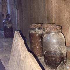 Brave As A Noun - AJJ {a cover}