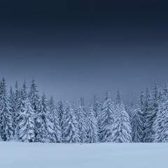 Cold as Ice