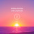 Artwork for Guided Meditation: Ending The Day With Gratitude
