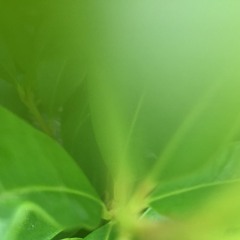 ENTROPY