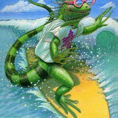 Surfing with Iguanas
