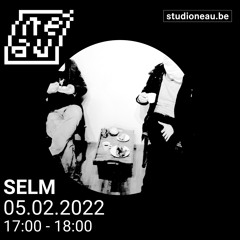Selm - Voices and Circles #1