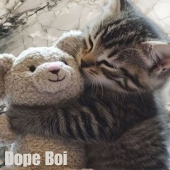 Dope Boi