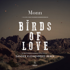 Monn - Birds Of Love (Sander Kleinenberg Remix)