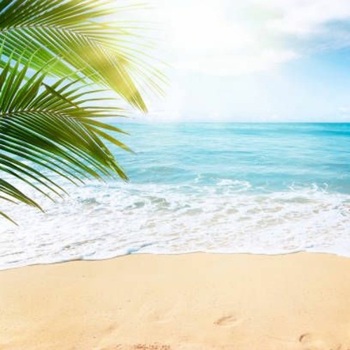 Lifesabeach