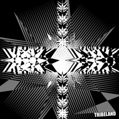 Dark Forces_ Redge23H23 on TRIBELAND 01 LP by Teknoland-Production