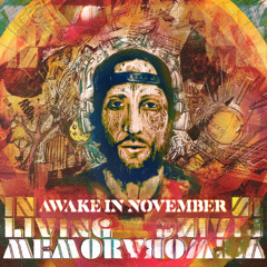 Awake in November by In Living Memory (2022)