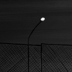 ‎⁨” ترك بصمه بهامه على قافية شعريّ “⁩