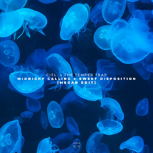 Midnight Calling x Sweet Disposition (MEGAN Edit)