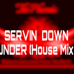 SER  VIN - Down Under  (House Mix)