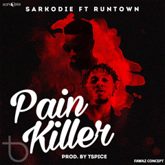 Pain Killer (feat. Runtown)