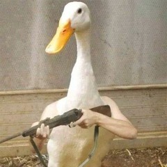 Satisfaction ?????????????????????????????