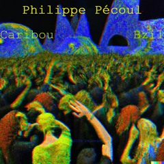 Caribou x Bzil - Philippe Pécoul