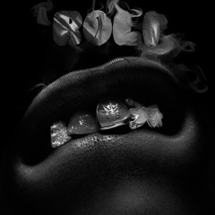 Unreleased Afro & Melodic House (set)