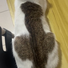 On that time (dallas)