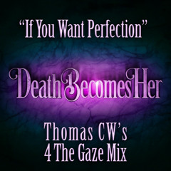 If You Want Perfection (Thomas CW 4 The Gaze Club)
