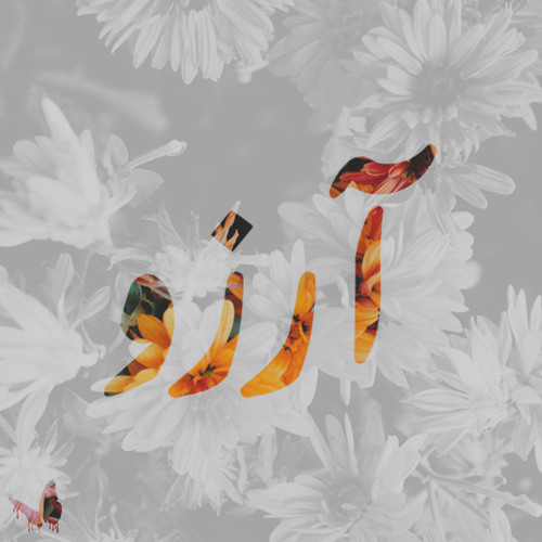Arezoo (Wish)