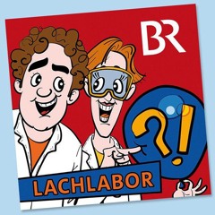 Lachlabor wie oft niesen Elefanten?