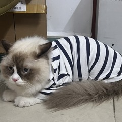 Một Đêm Say x Beautiful Girl x Baby x Chuyện Tình Tôi  Nhật Ngân, Trang Ash, Vee Trần, Bãi Đáp Band