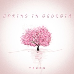 Spring In Georgia