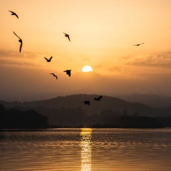 عن روح عليّـة - أدهم شرقاوي