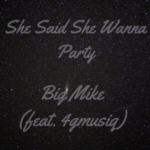 Big Mike - She Said She Wanna Party Feat. 4gmusiq