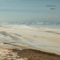 wlr099 Glåsbird - Siberia