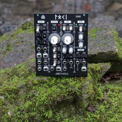 Loki - Core - Remote Vision