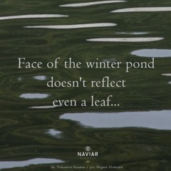 Winter Pond [NaviarHaiku540]