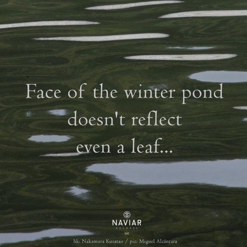 Winter Pond [NaviarHaiku540]