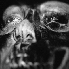 S.O.B  - DRIGGZLI 135BPM