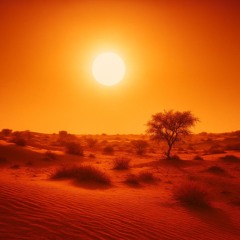 KALAHARI 1
