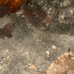 Straight from the Horse's Mouth