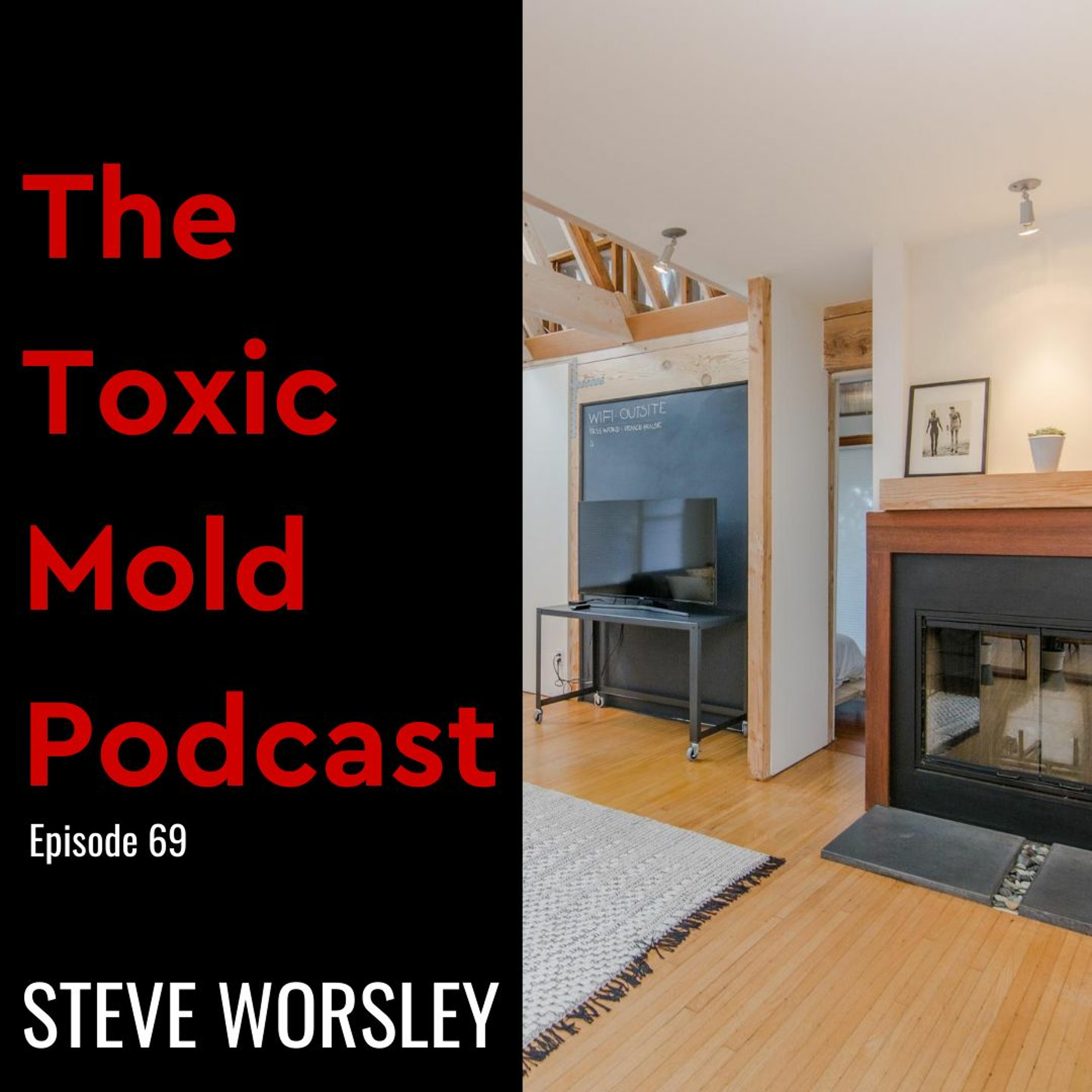 The Toxic Mold Podcast