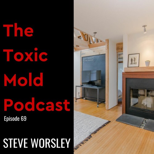 EP 69: The Importance of mold inspections