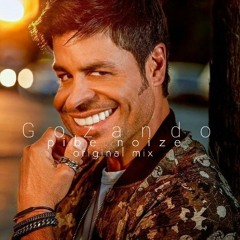 GOZANDO - PIBE NOIZE