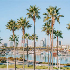 Best Things To Do In Long Beach Los Angeles Tours Reviews